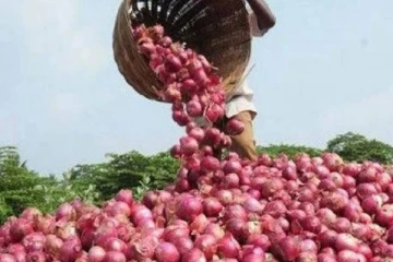 தடையை நீக்கிய இந்தியா... வெளிநாடொன்றில் சரசரவென சரியும் வெங்காய விலை