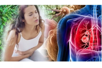 இந்த காயை சாப்பிட்டு வந்தால் புற்றுநோய் செல்களை வேராடு அழித்துவிடுமாம்?