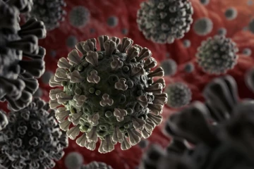 என்னது கொரோனா  20,000 வருஷத்துக்கு முன்னாடியே இருந்துச்சா? வெளியான அதிர்ச்சி தகவல்!