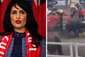 காளையிடமிருந்து இளைஞரைக் காப்பாற்ற துணிச்சலாக பாய்ந்த இந்திய வம்சாவளி MLA... பரபரப்பாக பேசப்படும் ஒரு வீடியோ