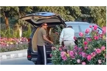 ஜி20 மாநாட்டிற்காக சாலையில் அலங்கரிக்கப்பட்ட பூந்தொட்டிகளை திருடிய நபர்கள் - வைரலாகும் வீடியோ...!