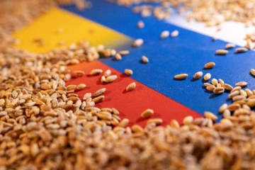 உணவு தானிய நெருக்கடியின் விளிம்பில் உலகம்... சிறப்பு ஒப்பந்தம் ஒன்றை கைவிட்ட ரஷ்யா