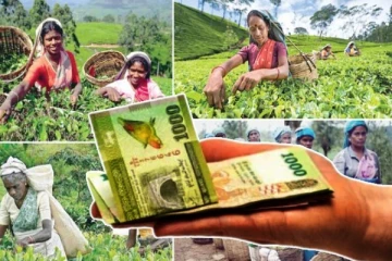 தோட்ட தொழிலாளர்களுக்கு 2000 ரூபா சம்பள உயர்வு: முன்னாள் அதிபர் வழங்கிய ஆலோசனை