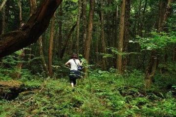மனிதர்களை அச்சுறுத்தும் பேய்கள்.. இந்த காட்டுக்குள் சென்றவர்கள் யாரும் உயிரோட திரும்பி வந்ததில்லை!