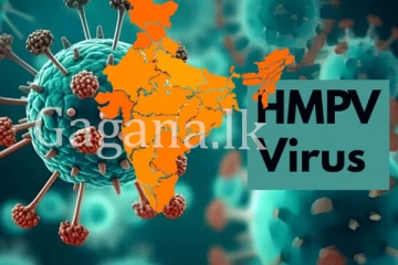 HMPV වෛරසය ඉන්දියාවට ඇතුළු වෙයි.- පළමු කෙනා ලෙස මාස 08ක බිලිඳෙක් ගොදුරු වෙයි.