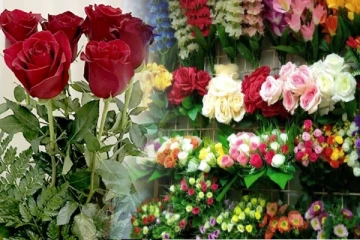 இலங்கையில் கோடிக்கணக்கான வருமானத்தை ஈட்டித்தந்த காதலர் தினம்