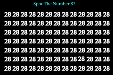 Optical illusion: கண்களுக்கு வித்தை காட்டும் படத்தில் '82' எங்கே மறைந்துள்ளது?