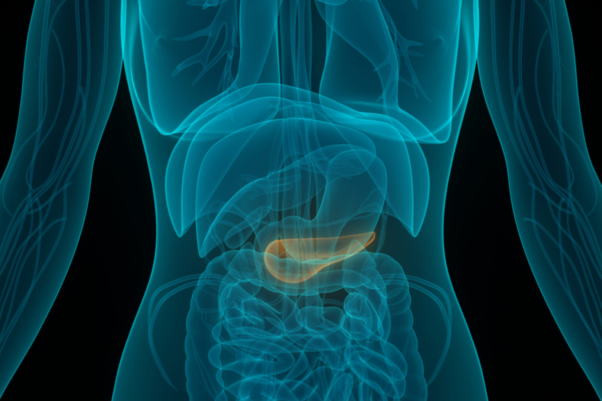 ඇස් කහ පාටට හුරු වෙලාද? මේ රෝග ලක්ෂණ තියෙනවා නම් භයානකයි දැන්ම වෛද්‍යවරයෙක් හමුවෙන්න | Yellow Eyes Could Signal Pancreatic Cancer