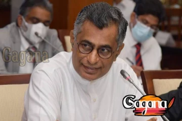 පාඨලීගෙන් බලශක්ති ඇමතිට සැර පිළිතුරක්