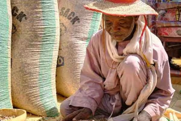 நைஜீரியாவில் அவசர நிலை பிரகடனம் | Declaration Of State Of Emergency In Nigeria