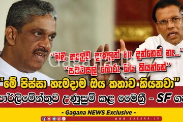 පාර්ලිමේන්තුව උණුසුම් කළ මෛත‍්‍රී - SF ගැටුම. (VIDEO)