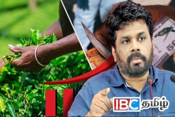 பெருந்தோட்ட தொழிலாளர்களுக்கான சம்பளம் அதிகரிப்பு : வெளியான அறிவிப்பு