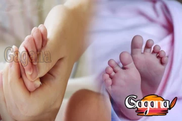 දකුණු කොරියාවේ උපත් අනුපාතය ඉහළට