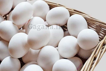 බිත්තර වලට ඒ ගමන ආය මොකක්ද වෙන්න යන්නේ?.