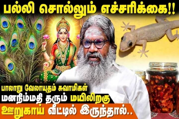 வீட்டில் உள்ள பல்லி சொல்லும் எச்சரிக்கை என்ன?