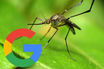 3 கோடி கொசுக்களை விடுவிக்க Google திட்டம்., அதுவும் பாக்டீரியாவால் பாதிக்கப்பட்டவை!