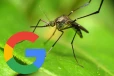 3 கோடி கொசுக்களை விடுவிக்க Google திட்டம்., அதுவும் பாக்டீரியாவால் பாதிக்கப்பட்டவை!