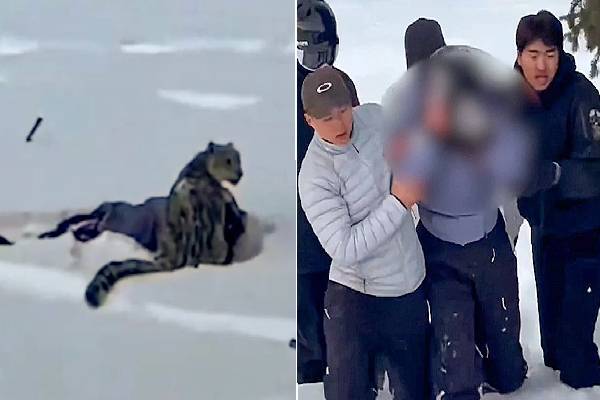 பனிச்சிறுத்தையுடன் செல்ஃபி எடுக்க முயற்சித்த இளம்பெண்ணிற்கு நேர்ந்த கதி | Take Selfie Snow Leopard Happened Young Woman பனிச்சிறுத்தையுடன் செல்ஃபி எடுக்க முயற்சித்த இளம்பெண்ணிற்கு நேர்ந்த கதி | Take Selfie Snow Leopard Happened Young Woman