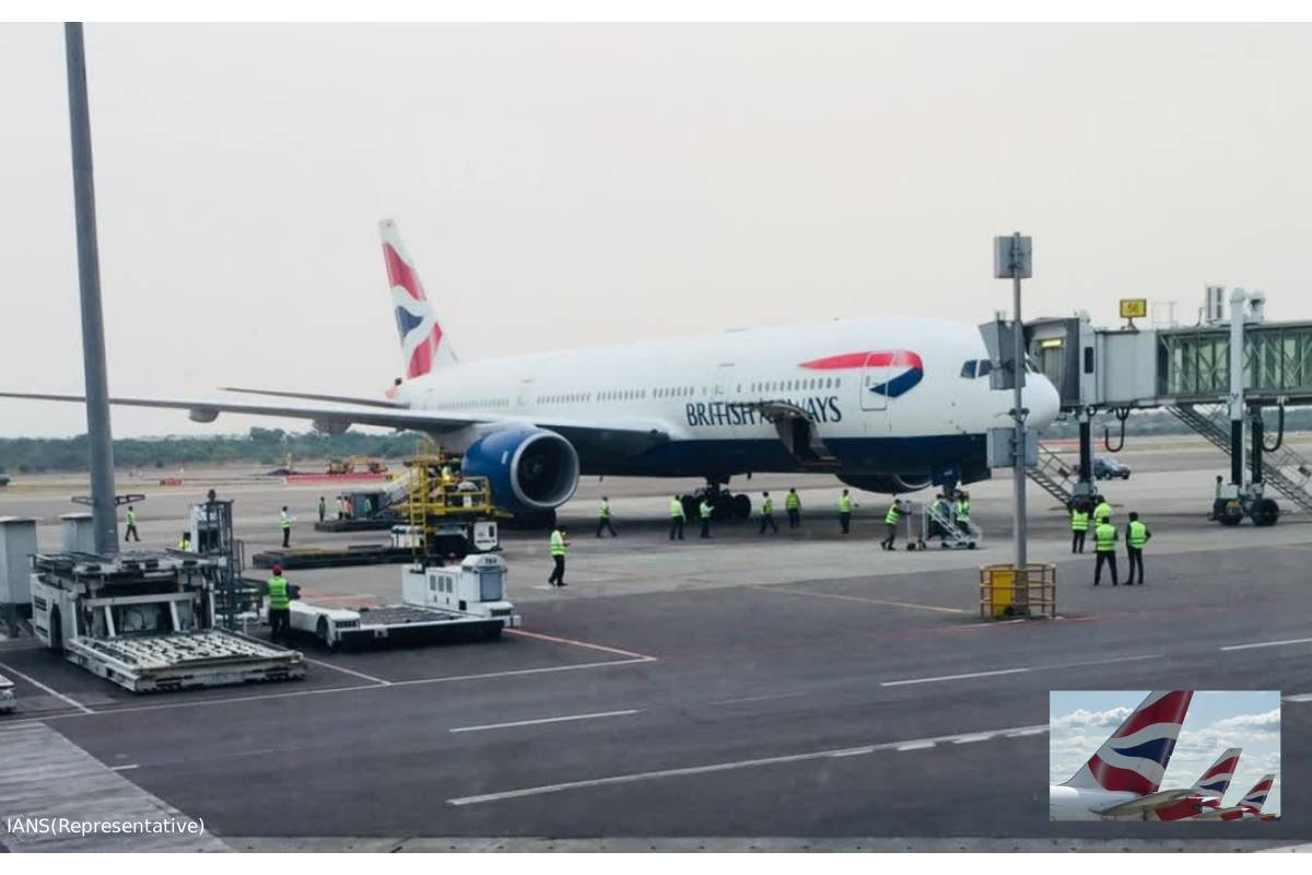 British Airways flight cancelled for bird strike