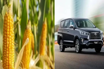 பணம் வேண்டாம்.. சோளம் கொடுத்து டொயோட்டா கார்களை வாங்கலாம்.. விவசாயிகளுக்கு செம ஆஃபர் !!