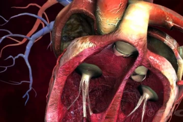 உயிர் பிரியும் கடைசி நொடி வரை துடிதுடிக்கும் இதயம் பற்றிய சுவாரசியமான உண்மைகள்