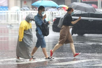 சுழன்றடித்த புயல்... விளை நிலங்கள் உட்பட நாடு முழுவதும் பலத்த சேதம்