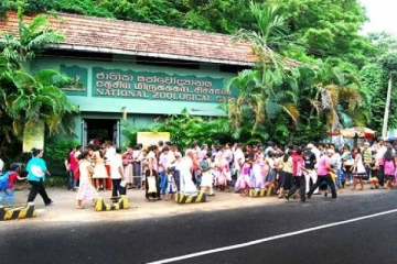 தெஹிவளை மிருகக்காட்சி சாலையின் வருமானம் அதிகரிப்பு