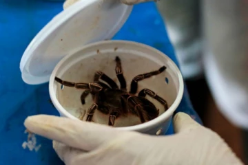 ரோபோவாக மாற போகும் இறந்த சிலந்திகள்! மிரள வைத்த தொழிநுட்பம் - வியக்க வைத்த ஆராச்சிகள்