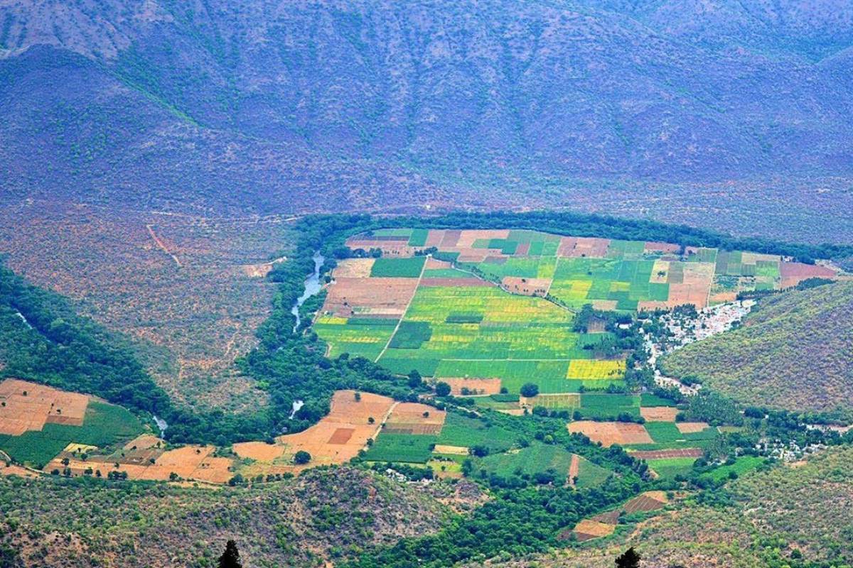 தமிழகத்தில் யாரும் செல்ல அனுமதி இல்லாத கிராமம்.., எங்கு உள்ளது தெரியுமா? | The Isolated Village Of Tamil Nadu