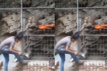 வெறியோடு ஒருத்தரின் தலைமுடியை விடாமல் பிடித்து இழுத்த குரங்கு - வைரலாகும் வீடியோ