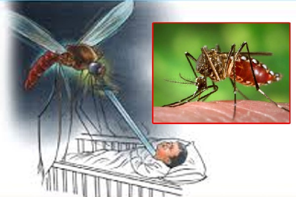 சிறுவர்கள் தொடர்பில் வெளியான தகவல் -பெற்றோரே அவதானம் | Increase In The Spread Of Covid Among Children