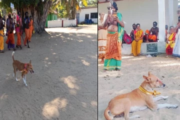 பாதயாத்திரையாக கடந்து வரும் சுப்பிரமணி எனும் நாய்க்கு அனுமதி மறுப்பு.!