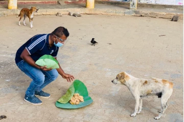 கட்டாக்காலி நாய்களுக்கு உணவளித்த பொலிஸார்