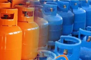 சமையல் எரிவாயு விலை குறைப்புக்கு அமைச்சரவை அனுமதி