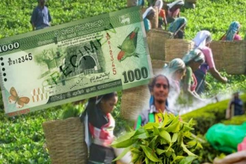 சர்ச்சையை ஏற்படுத்தியுள்ள தோட்டத்தொழிலாளர்களின் சம்பள விவகாரம்: நீதிமன்றத்தை நாட நடவடிக்கை