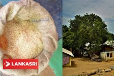 எங்களுக்கு மிகவும் சிரமமாக உள்ளது! குமுறும் இலங்கை தமிழர்கள்... புகைப்படத்துடன் வெளிவந்த முழுமையான பின்னணி தகவல்