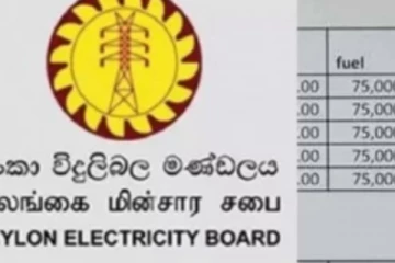විදුලි බිල සංශෝධන කෙටුම්පත සම්මත වෙයි..! ඡන්දයේ දී සිදු වූ දේ
