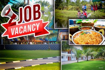 வேலைவாய்ப்பு தேடும் இளைஞர் யுவதிகளுக்கு வெளியான மகிழ்ச்சி தகவல்