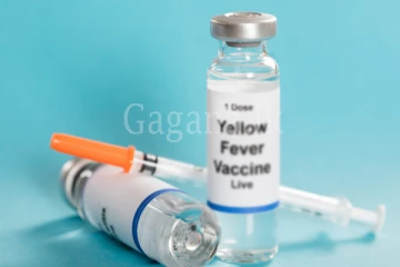 සෞඛ්‍ය ගැටළු උත්සන්න වෙයි. - කහ උණ එන්නත නැතිව 5000ක් පෝලිමේ.