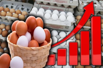 முட்டை விலை அதிகரிப்பு குறித்து வெளியான தகவல்