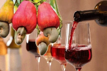 மரமுந்திரிகை பழத்தில் வைன் மதுபானம்