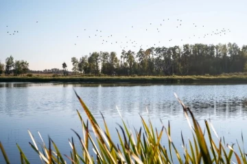 279 ஏக்கர் காணியை தானமாக வழங்கிய அல்பர்ட்டா குடும்பம்;என்ன காரணம் தெரியுமா?