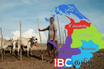 வடக்கு மாகாணத்தில் கால்நடை வளர்ப்போருக்கு முக்கிய அறிவித்தல்