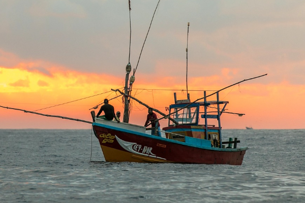 கடற்றொழிலாளர்களுக்கு புதிய காப்பீட்டுத் திட்டம் : வெளியான அறிவிப்பு | New Insurance Scheme For Fishermen 12 Lakh Rupees