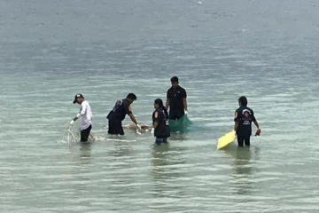 வடமராட்சி கிழக்கு கடலில் கரையொதுங்கியுள்ள மீனவர்களது சடலங்கள்