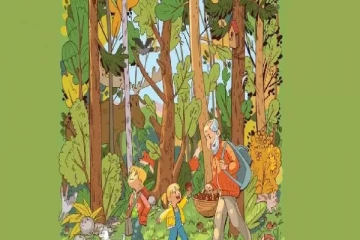 Optical Illusion: காட்டில் மறைந்திருக்கும் ஆப்பிள் பழத்தை கண்டுபிடித்தால் உங்கள் பார்வை பருந்து பார்வை