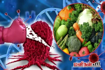 புற்றுநோயை எதிர்த்து போராடும் டாப் உணவுகள் இவைதானாம்! இனியும் தவிர்க்காதீங்க