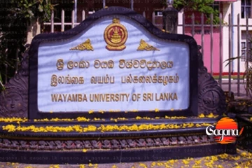 වයඹ විශ්වවිද්‍යාලයේ වෛද්‍ය සිසුන් රජයෙන් ලැබෙන්න යනදේ මෙන්න
