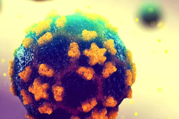 ஜேர்மனியில் கழிவுநீர் மாதிரியில் போலியோ வைரஸ் | Polio Virus Detected In Wastewater Samples ஜேர்மனியில் கழிவுநீர் மாதிரியில் போலியோ வைரஸ் | Polio Virus Detected In Wastewater Samples