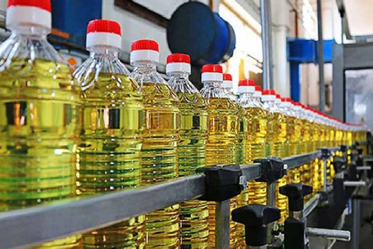 யாழில் எண்ணெய் நிறுவனத்தில் கோடி ரூபா மோசடி ; விசாரணையில் வெளியான திடுக்கிடும் தகவல்கள் | Million Rupee Fraud Jaffna Revealed During Investi யாழில் எண்ணெய் நிறுவனத்தில் கோடி ரூபா மோசடி ; விசாரணையில் வெளியான திடுக்கிடும் தகவல்கள் | Million Rupee Fraud Jaffna Revealed During Investi